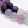 Natural Fluorite Bead Strands G-A163-06-10mm-3