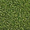 12/0 Glass Seed Beads X1-SEED-A005-2mm-24-2