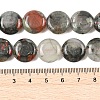 Natural African Bloodstone Beads Strands G-L648-B06-15mm-6