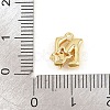 Brass Micro Pave Clear Cubic Zirconia Charms KK-Z151-18G-N-3