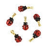 6Pcs Handmade Lampwork Pendants LAMP-FS0001-57B-2