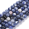 Natural Sodalite Beads Strands G-K410-02-8mm-1