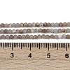 Natural Angelite Beads Strands G-RM2025-A48-A-5
