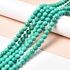 Dyed & Heated Natural Magnesite Beads Strands G-G924-01A-01-2