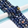 Natural Sodalite Beads Strands G-C038-02E-2