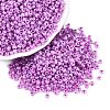 8/0 Glass Seed Beads X1-SEED-A011-3mm-150-1