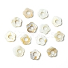 20Pcs Freshwater Shell Beads Frames SHEL-YW0001-08-3