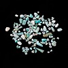 Natural Amazonite Chip Beads X-G-M364-04A-1