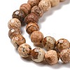 Natural Picture Jasper Beads Strands G-E571-28A-4