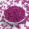 Baking Paint Glass Seed Beads SEED-S003-K21-2