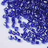 8/0 Two Cut Glass Seed Beads SEED-S033-15A-05-2