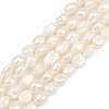 Natural Cultured Freshwater Pearl Beads Strands PEAR-P064-20H-05A-2