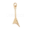 Rack Plating Brass Clear Cubic Zirconia Pendants LS-KK-M229-26G-2