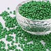 8/0 Glass Seed Beads SEED-US0003-3mm-47-1