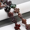 Natural Indian Agate Beads Strands G-P520-A04-01-2