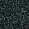12/0 FGB Grade A Round Glass Seed Beads SEED-N001-A-1041-2