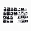 304 Stainless Steel Beads STAS-N087-43-03-P-1