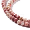 Natural Maifanite/Maifan Stone Beads Strands G-P451-01C-A-4