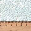 Opaque Colours Luster Glass Seed Beads SEED-B001-01A-02-4