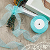 1 Rolls Sheer Organza Ribbon SRIB-CY0001-22B-06-4