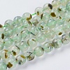 Natural Prehnite Beads Strands X-G-G457-8mm-03-1