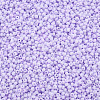 13/0 Glass Seed Beads SEED-T005-14A-A11-3