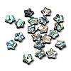 Natural Abalone Shell/Paua Shell Beads SHEL-B003-06-1