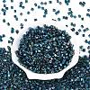 6/0 Glass Seed Beads SEED-S027-06B-14-2