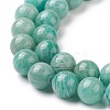 Natural Amazonite Beads Strands G-F461-12-10mm-01-5