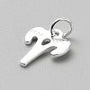 925 Sterling Silver Twelve Constellations Charms STER-WH0005-19S-02-2