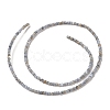 Natural Freshwater Shell Beads Strands SHEL-P017-01A-13-2