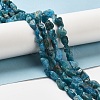 Raw Rough Natural Apatite Beads Strands G-I293-G03-02-2