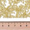 12/0 Glass Seed Beads X1-SEED-A017-2mm-1107-3