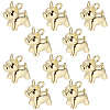 10Pcs Brass Charms KK-BBC0024-48-1