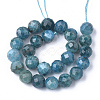 Natural Apatite Beads Strands X-G-S345-6mm-008-2