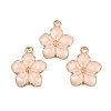 Zinc Alloy Enamel Pendants PALLOY-I124-10G-A-1-1