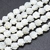 Natural White Shell Beads Strands SSHEL-P015-01A-8mm-1