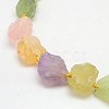 Natural Mixed Gemstone Beads Strands G-L159-10-2