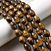 Natural Tiger Eye Beads Strands G-A275-A01-8x12mm-AB-1