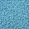 MIYUKI Delica Beads SEED-MY11-DB2128-3
