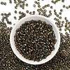 TOHO 6/0 Round Beads SEED-XTR06-0271-3