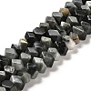 Natural Eagle Eye Stone Beads Strands G-N327-05-15-1