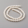 Natural Cultured Freshwater Pearl Beads Strands PEAR-G007-32-2