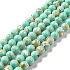 Synthetic Turquoise and Sea Shell Assembled Beads Strands G-D482-01B-08-2