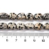Natural Dalmatian Jasper Beads Strands G-G146-A24-01-5