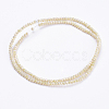 Electroplate Glass Beads Strands GLAA-F078-FR08-2