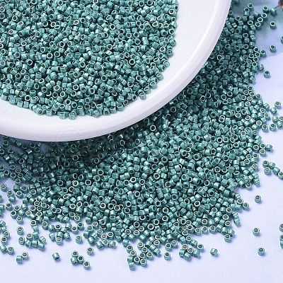 MIYUKI Delica Beads X-SEED-J020-DB1183-1