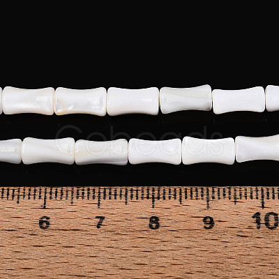 Natural Freshwater Shell Beads Strands SHEL-N038-02-1