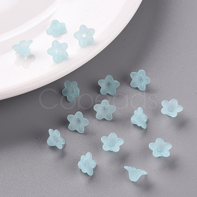 Transparent Acrylic Beads PL554-11-1