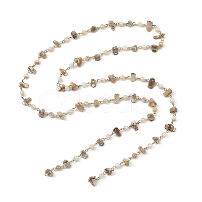 304 Stainless Steel & Natural Freshwater Shell Beaded Link Chains AJEW-JB01657-1